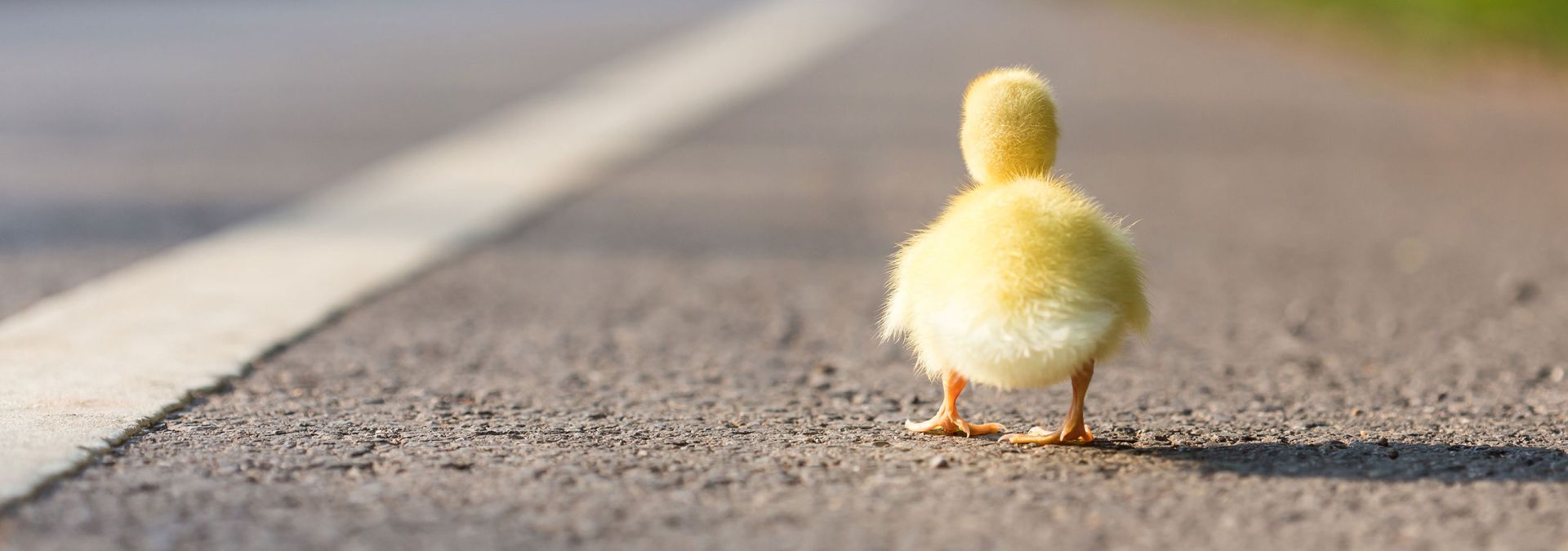 Wilt u nieuwe klanten winnen en de juiste klantrelaties ontwikkelen? Versla dan de 'wervelwind'